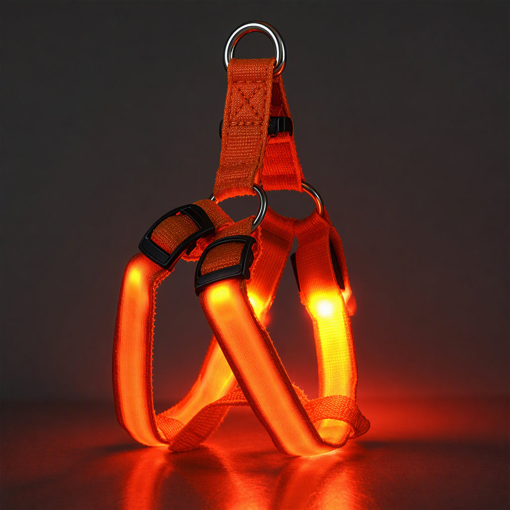🐕 50 % Rabatt!! 💡LED-Hundeharness mit Leuchtfunktion für Spaziergänge bei Nacht