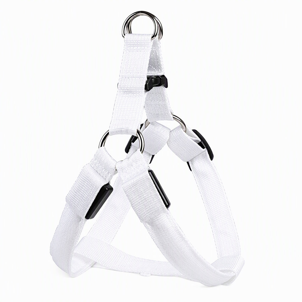 🐕 50 % Rabatt!! 💡LED-Hundeharness mit Leuchtfunktion für Spaziergänge bei Nacht