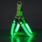 🐕 50 % Rabatt!! 💡LED-Hundeharness mit Leuchtfunktion für Spaziergänge bei Nacht