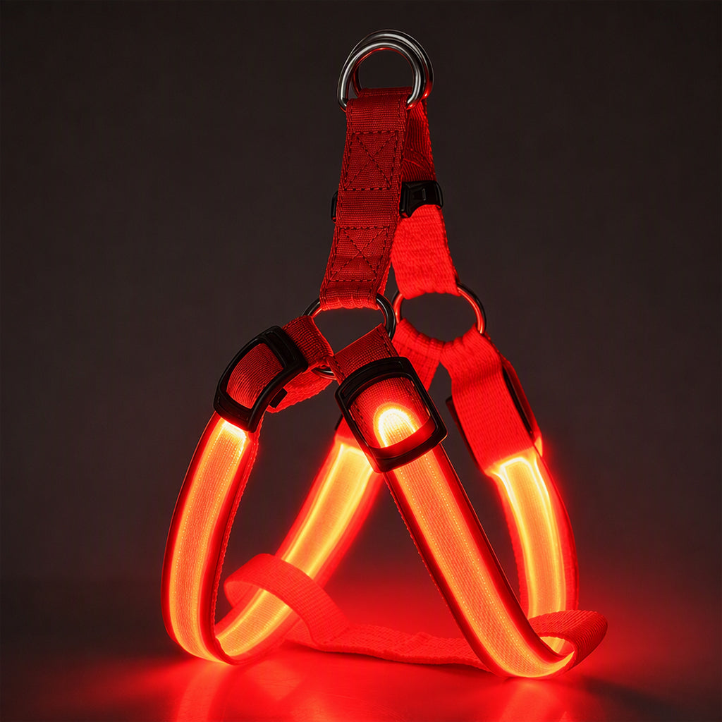 🐕 50 % Rabatt!! 💡LED-Hundeharness mit Leuchtfunktion für Spaziergänge bei Nacht