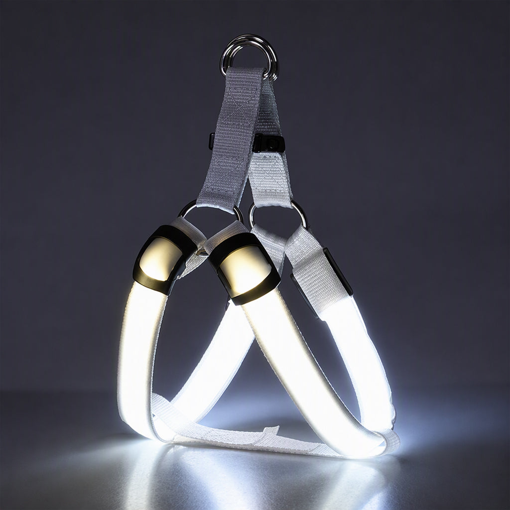 🐕 50 % Rabatt!! 💡LED-Hundeharness mit Leuchtfunktion für Spaziergänge bei Nacht
