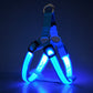 🐕 50 % Rabatt!! 💡LED-Hundeharness mit Leuchtfunktion für Spaziergänge bei Nacht