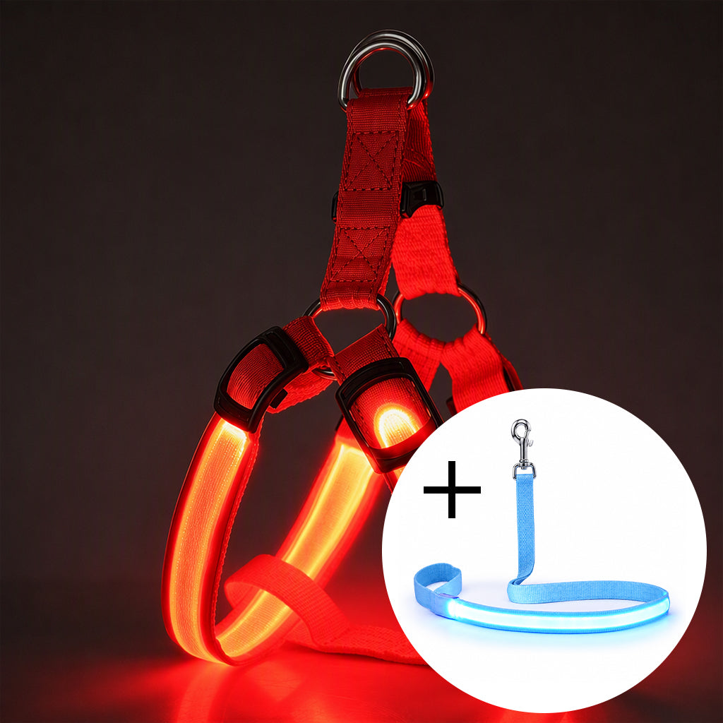 🐕 50 % Rabatt!! 💡LED-Hundeharness mit Leuchtfunktion für Spaziergänge bei Nacht