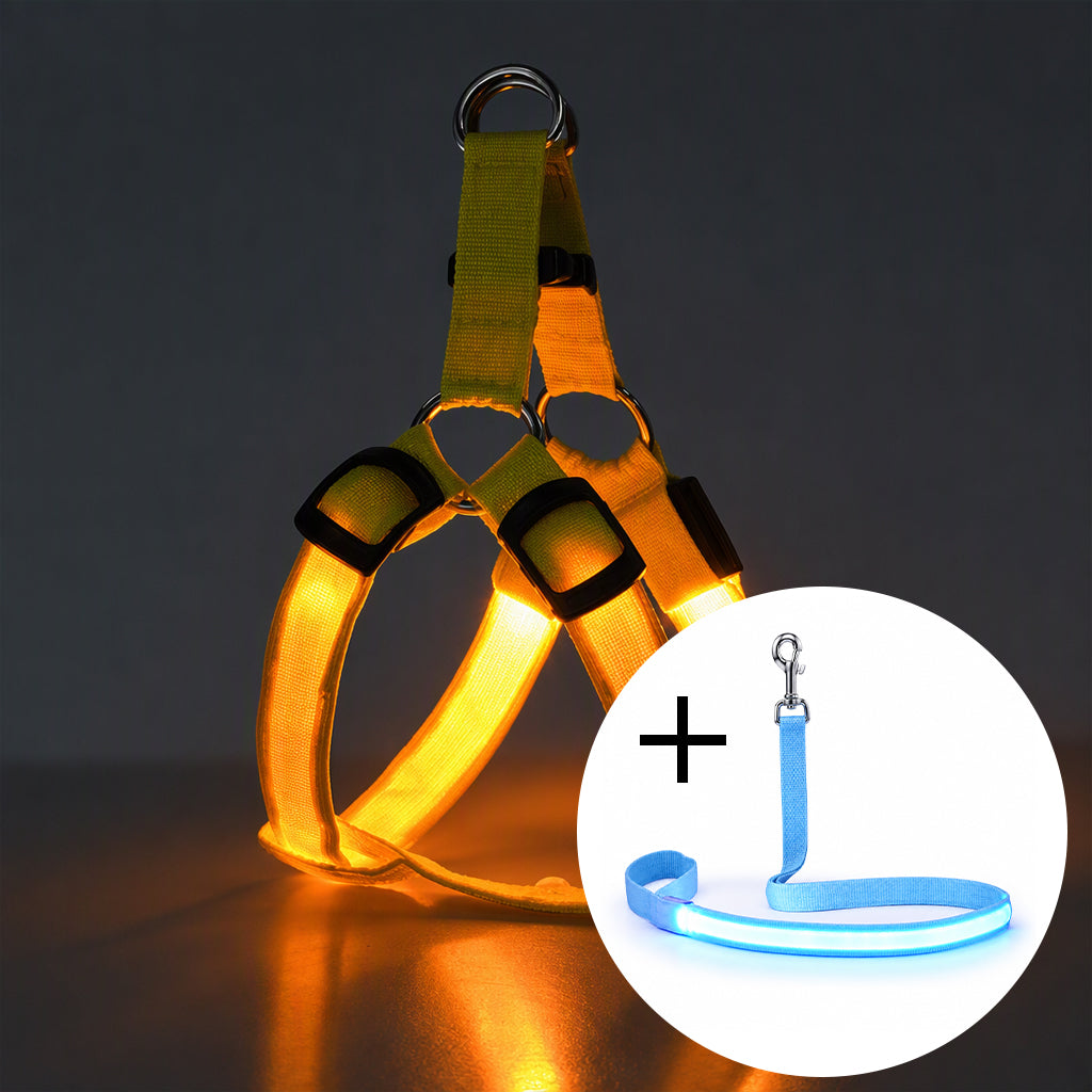 🐕 50 % Rabatt!! 💡LED-Hundeharness mit Leuchtfunktion für Spaziergänge bei Nacht