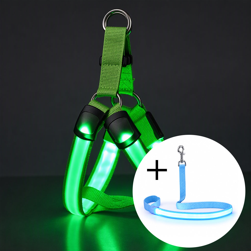 🐕 50 % Rabatt!! 💡LED-Hundeharness mit Leuchtfunktion für Spaziergänge bei Nacht