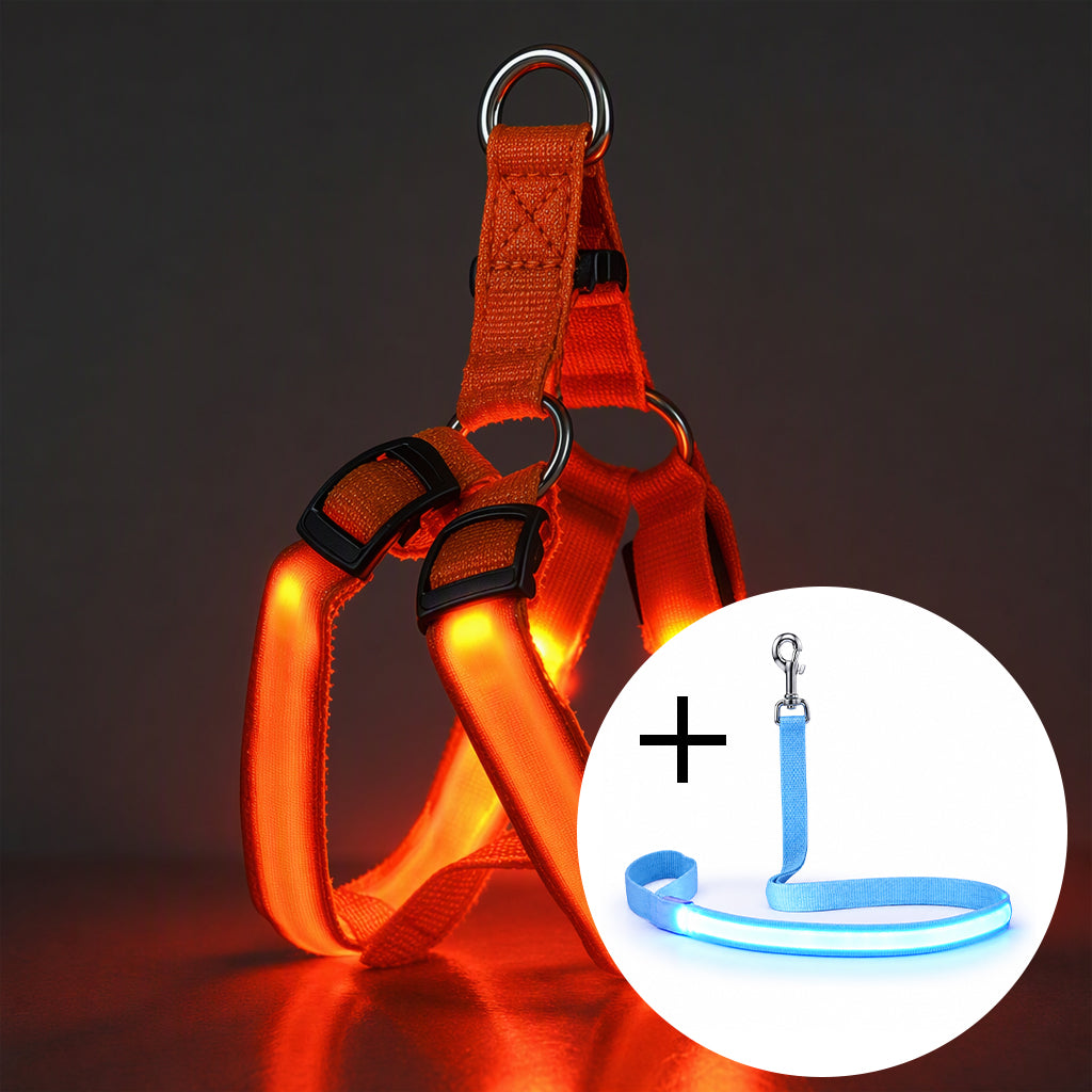 🐕 50 % Rabatt!! 💡LED-Hundeharness mit Leuchtfunktion für Spaziergänge bei Nacht
