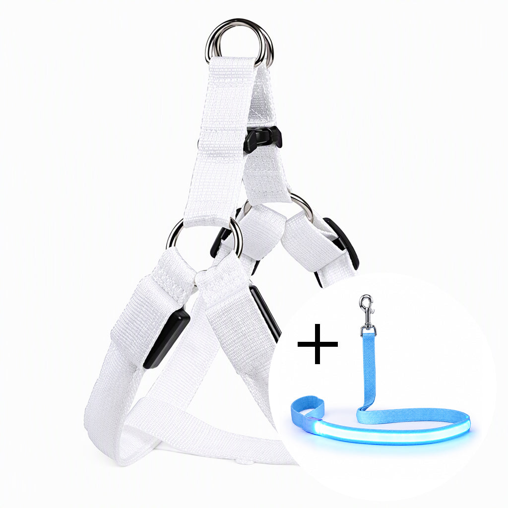 🐕 50 % Rabatt!! 💡LED-Hundeharness mit Leuchtfunktion für Spaziergänge bei Nacht