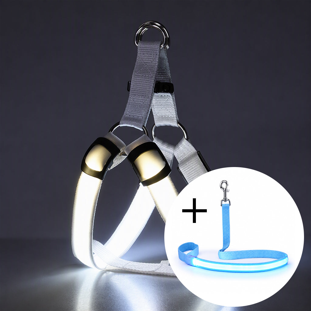 🐕 50 % Rabatt!! 💡LED-Hundeharness mit Leuchtfunktion für Spaziergänge bei Nacht
