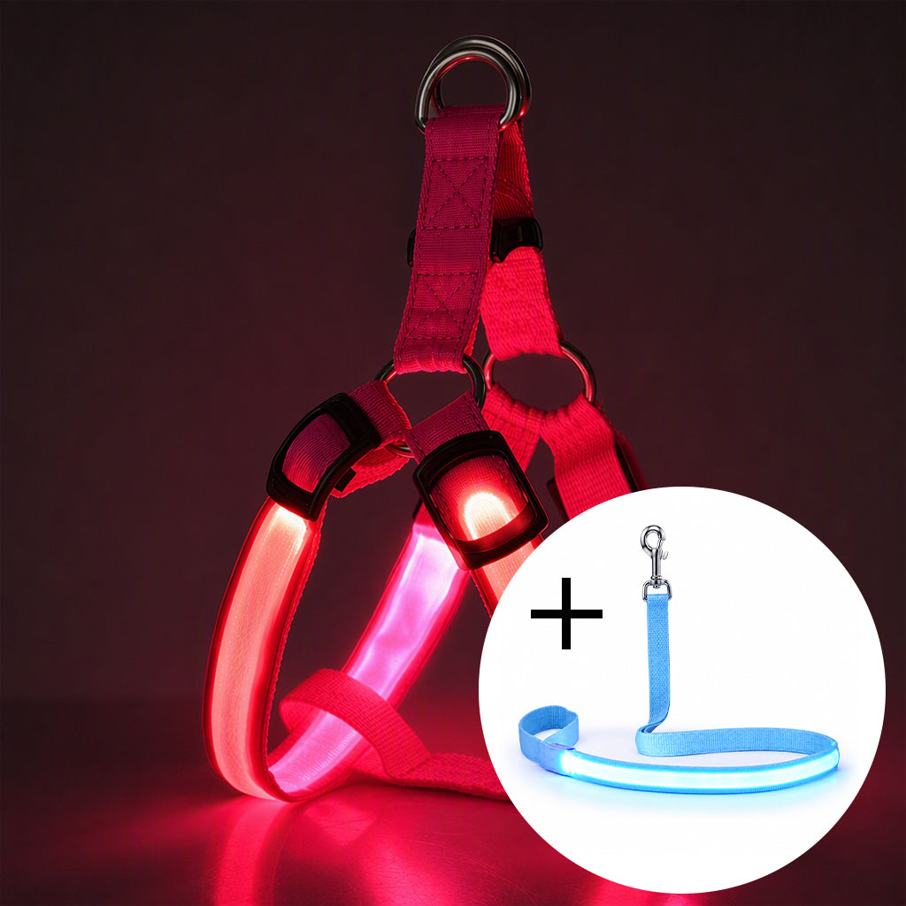 🐕 50 % Rabatt!! 💡LED-Hundeharness mit Leuchtfunktion für Spaziergänge bei Nacht